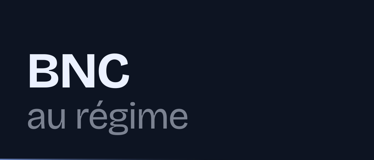 Jaquette de la page « BNC au régime de la déclaration contrôlée en 2026 : seuil, 2035, option » : BNC au régime
