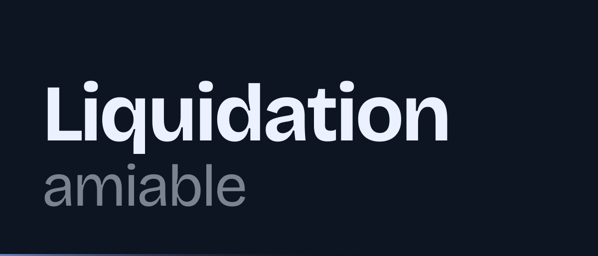 Jaquette de la page « Liquidation amiable d'une société : liquidateur, boni, impôts, radiation » : Liquidation amiable
