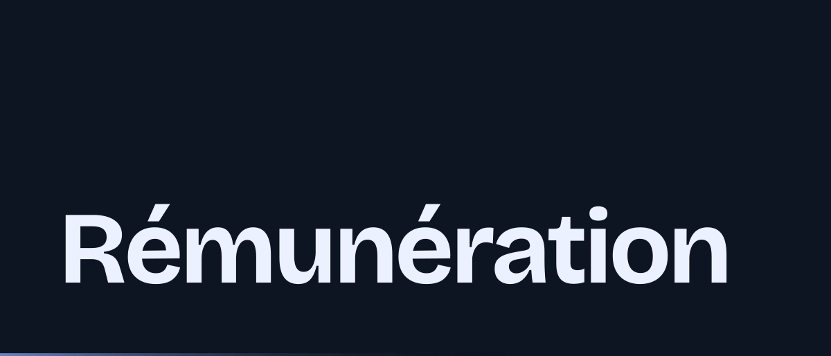 Jaquette de la page « Rémunération du dirigeant de société : impôt, déduction, compte courant, jetons » : Rémunération