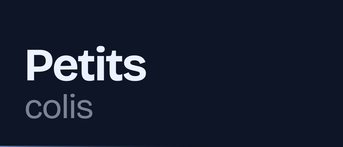 Jaquette de la page « Petits colis : droit de douane de 3 € par catégorie d'articles en 2026 » : Petits colis