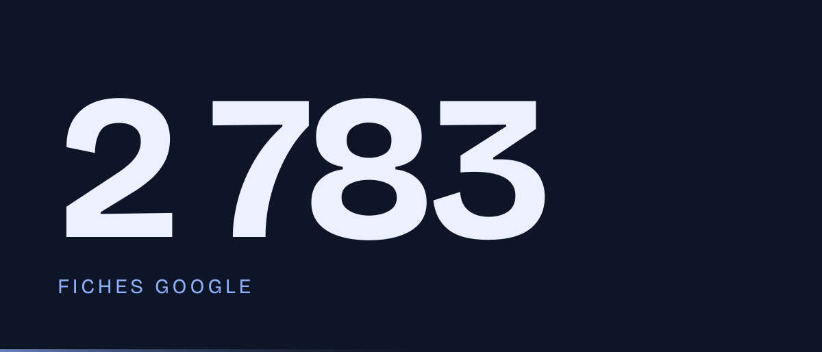 Jaquette de la page « Site internet carrosserie : ce que montrent 2 783 fiches Google » : 2 783 fiches Google